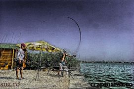 CN Corbu - 2013 (4)